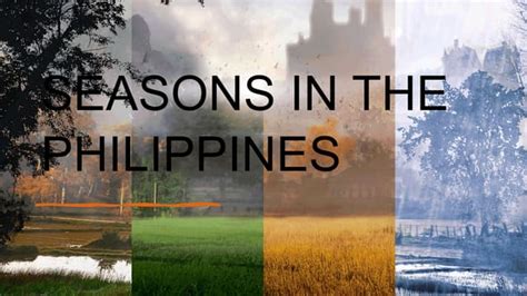 what month is summer philippines|Weather Seasons in the Philippines .